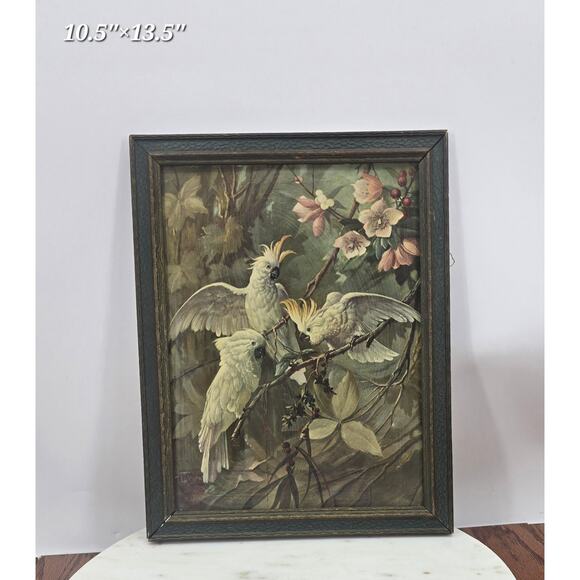 Vintage MCM Framed Three White Cockatoos Print by Alfonso T. Toran - Picture 1 of 2